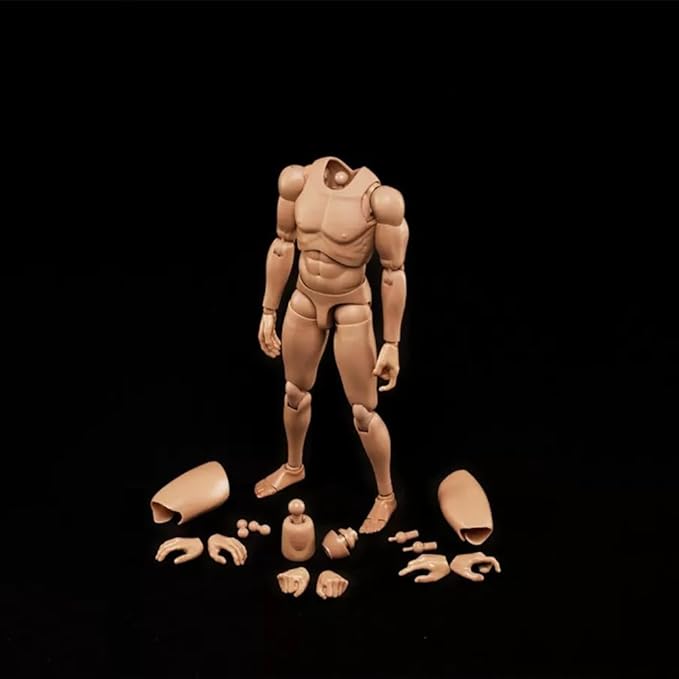 1:6 Scale Muscle Male Action Figure Asian Skin 12 Inch Flexible Male Figure Body Doll Miniature Figure Without Head Sculpt