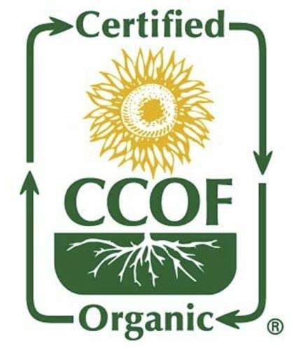 McCabe Organic Sweet Rice - Gluten Free & GMO-Free | Rich in Fibers and Minerals | USDA and CCOF Certified Organic | Product of USA | 3 Lbs