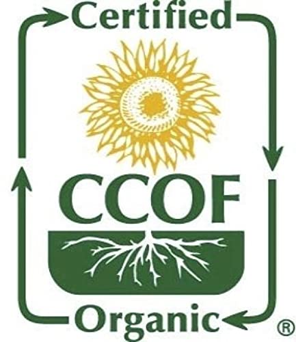 McCabe Organic Black Bean Tea - Roasted Black Beans Tea | USDA and CCOF Certified | Roasted and Packed in USA | 1.75 lbs (28 Oz) Pack of 2