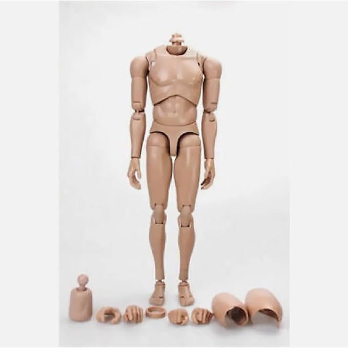 1:6 Scale Muscle Male Action Figure Asian Skin 12 Inch Flexible Male Figure Body Doll Miniature Figure Without Head Sculpt