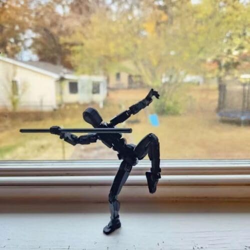 (Assembly Completed) 2025 New Titan 13 Action Figure Set,Lucky Robot 13 Action Figures,Multi-Jointed Movable Action Figure,Nova 13 Figure for Collectors Desktop Decorations (b- Black)