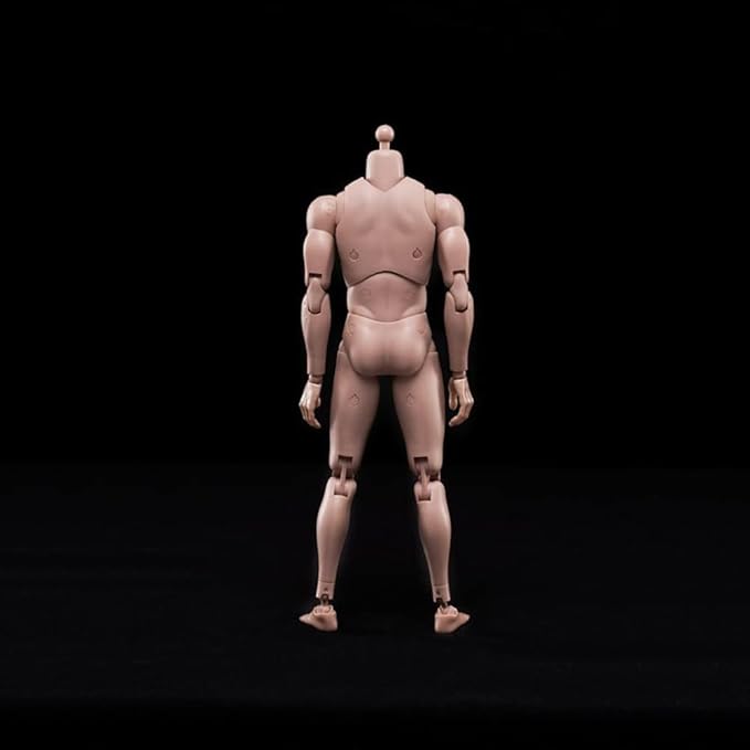 1:6 Scale Muscle Male Action Figure Europe Skin 12 Inch Flexible Male Figure Body Doll Miniature Figure Without Head Sculpt