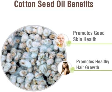 Salvia Cotton Seed Oil 15 ml (0.51 fl oz) – Cold Pressed Carrier Oil for Soap Making, Massage Formulations & DIY Cosmetic Preparations