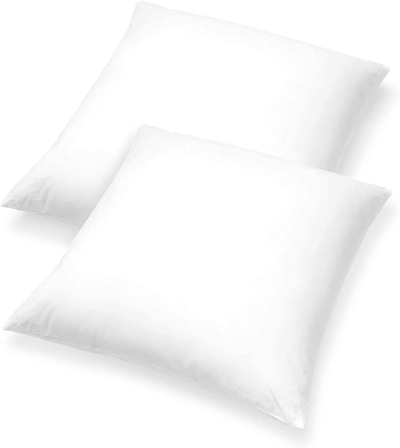 Pillow Inserts - Pack of 2-20" x 20" Square Decorative Throw or Sham for Couch - Bed - Sofa