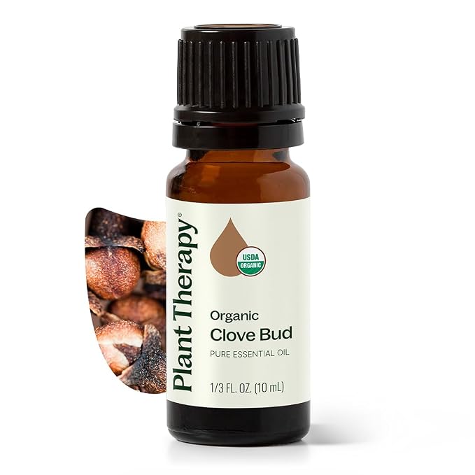 Plant Therapy Organic Clove Bud Essential Oil, 10 mL (1/3 oz), 100% Pure and Undiluted, USDA Certified Organic, Fresh and Spicy Scent, Great for Aromatherapy