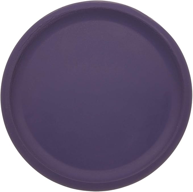 Champion Sports Rhino Skin Foam Disc Set