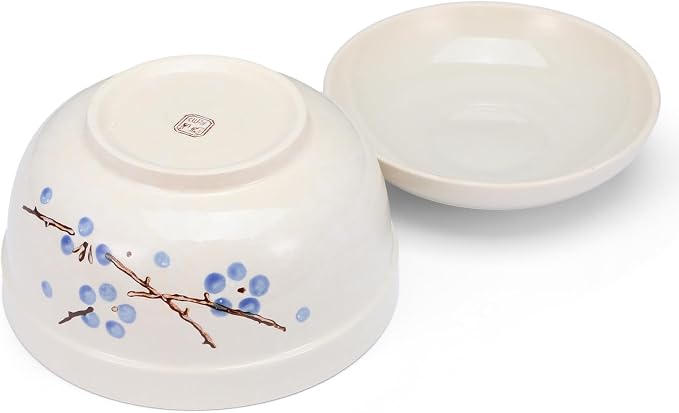 MAQUITA 2 Pack 27oz Ceramic Ramen Bowl with Lid Microwavable Japanese Korean Soup Bowl Clay Pot Dinnerware for Noodle Rice Porridge