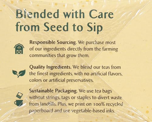 Celestial Seasonings Immune Support Green Tea 20 Tea Bags (Pack of 2)