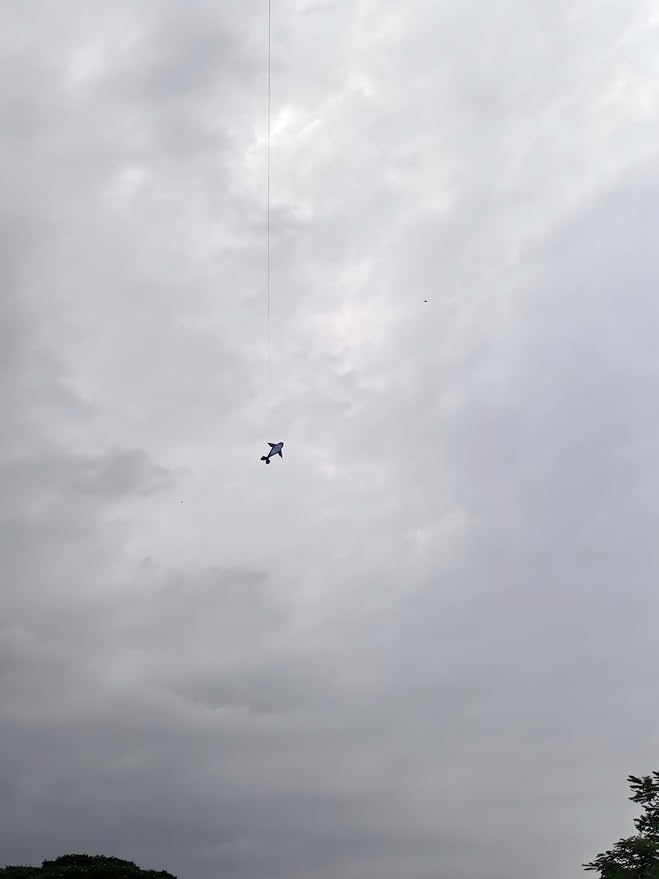 Giant Whale Kite for Adults and Kids, 9.51ft×6.40ft, Easy to Fly Large Beach Park Lawn Kites for Outdoor Games and Activities