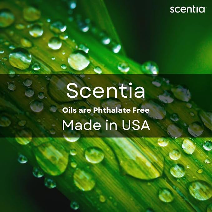 Scentia Gingerbread Bliss Fragrance Oil – 120 ml Christmas Diffuser Oil | Cozy Holiday Blend with Nutmeg, Cinnamon & Vanilla | Aromatherapy for Home, Candles, Soaps & Holiday Décor | Made in USA