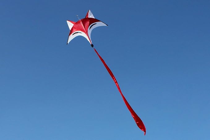 HENGDA KITE for Kids Red Fox Kite Outdoor Fun Sports Single Line Kite with Flying Tools