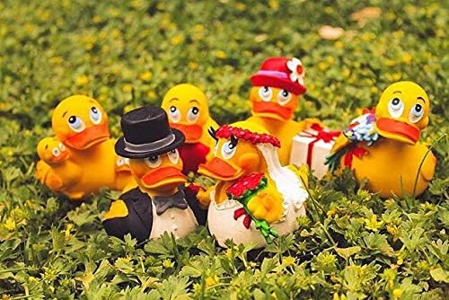 Snorkeling Rubber Duck Bath Toy | All Natural, Organic, Eco Friendly, Squeaker | Collectable | 3” | Imported from Barcelona, Spain