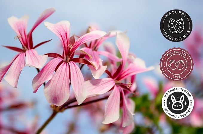 Rose Geranium Essential Oil - 1 fl oz (100% Pure & Uncut) - GreenHealth