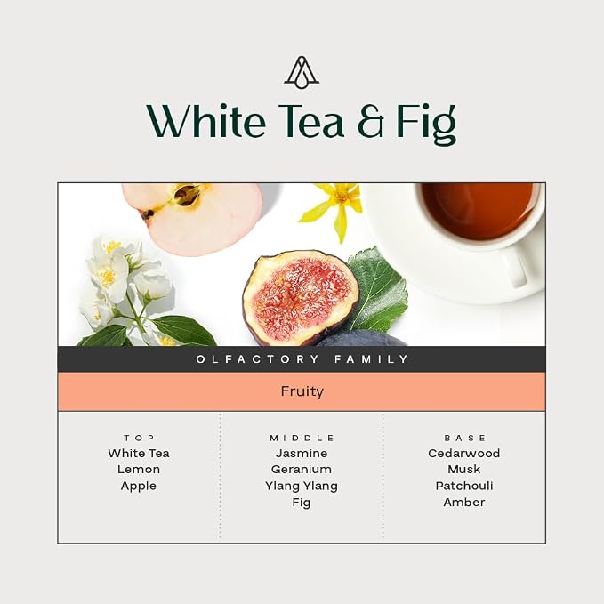 AromaPlan Hotel Scents White Tea & Fig 5 Fl Oz (148ml), Home Luxury Aroma & Hotel Fragrance Diffuser Oil- Hotel Diffuser Oil for Aromatherapy- USA Made, Bigger Bottle, Bolder Aroma & Longer Lasting