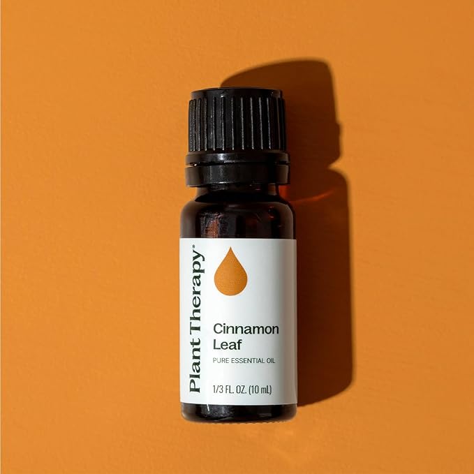 Plant Therapy Cinnamon Leaf Essential Oil 10 mL (1/3 oz) 100% Pure, Undiluted, Aromatherapy, Cozy Scent, Sore Muscle Relief