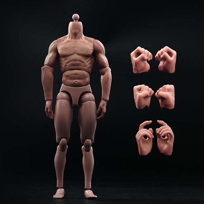 1/6 Scale Muscle Male Body 12in Flexible Muscle Male Action Figure Doll Miniature Figure Without Head Sculpt