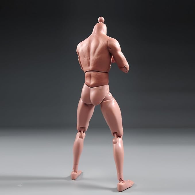 1/6 Scale Muscle Male Body 12in Flexible Muscle Male Action Figure Doll Miniature Figure Without Head Sculpt