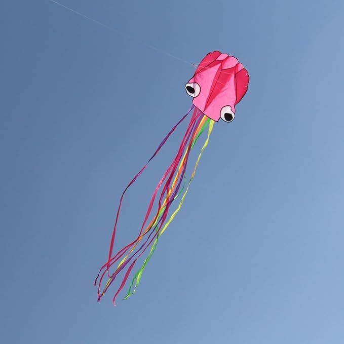 Hengda Kite Soft Octopus Kite Series, Beautiful Kite with Long Colorful Tail for Kids and Adults, Easy to Fly Beach Kites, Excellent Outdoor Games and Activity Toys, Suitable for Beginners.
