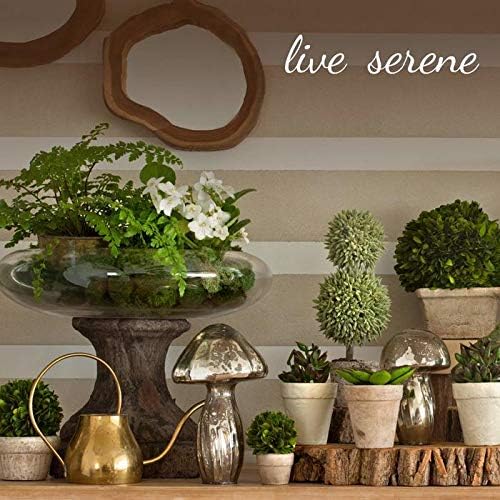 Serene Spaces Living Set of 4 Glossy White Ceramic Square Vase, Succulent Planter, Ceramic Cube Vase for Flowers, Decorative Centerpiece for Home, Office, Wedding,Measures 3" Diameter & 3" Tall