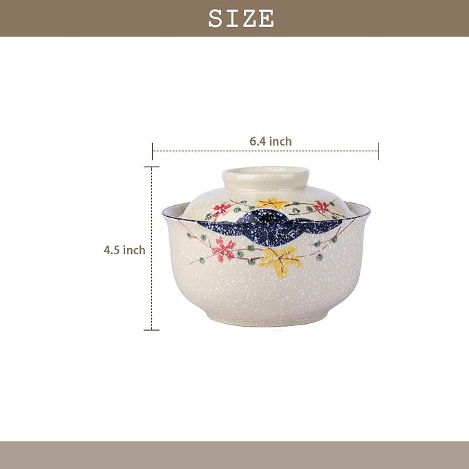 Ceramic Ramen Bowl with Lid, 25 Oz Big Bowl for Noodle, Soup, Porridge and Rice, Japanese Style, Korean Clay Pot, Oven, and Microwave Safe (Pattern C)