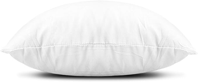 EDOW Throw Pillow Inserts, Set of 4 Lightweight Down Alternative Polyester Pillow, Couch Cushion, Sham Stuffer, Machine Washable. (White, 20x20)