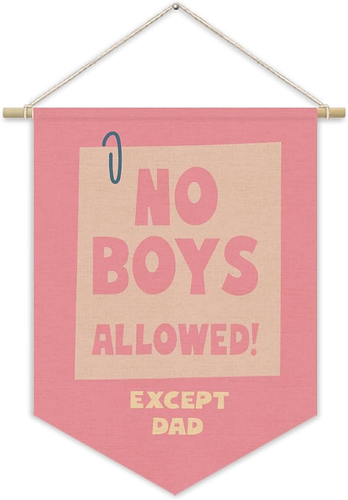 Girls Room Sign Decor Banner,No Boys Allowed Door Sign,Pink Cute Wall Decor for Teen Girls Bedroom Playroom Toddler Little Girl Stuff Wall Hanging Pennant Flag Linen Banner 15x11 Inch