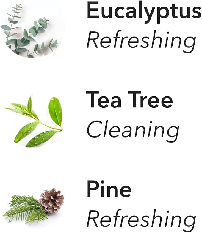 Aera Support Breathe Aromatherapy Essential Oil Home Fragrance Scent Refill - Notes of Eucalyptus, Tea Tree and Pine - Works with The Aera Diffuser