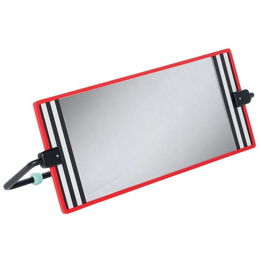 Manhattan Toy Wimmer Discovery Mirror