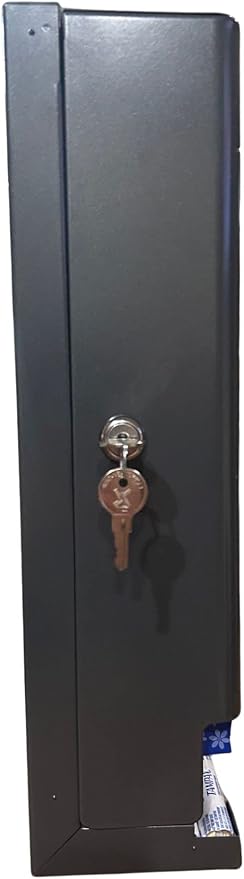 GG Golden Group INTERNATIONAL Tampon & sanitary napkin free vending dispenser for public restroom, steel cabinet with lock, wall mountable, Black