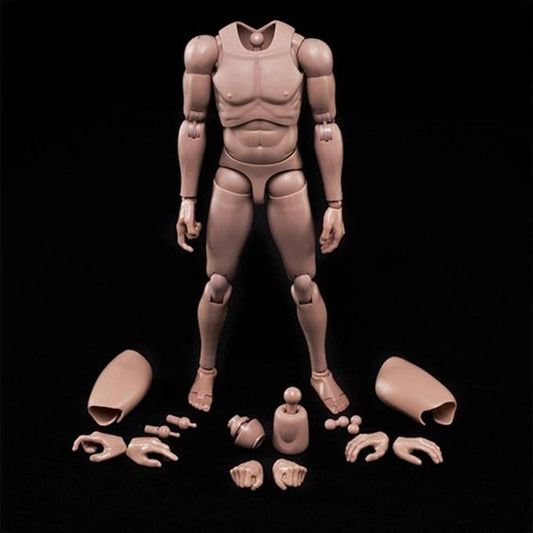 1:6 Scale Muscle Male Action Figure Europe Skin 12 Inch Flexible Male Figure Body Doll Miniature Figure Without Head Sculpt