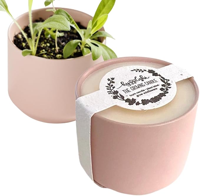 Hyggelight - The Growing Candle, Lemongrass Scented, 8oz Ceramic Pot, Single Wick Aromatherapy Candles, 100% Soy for Women and Men, Adelyn