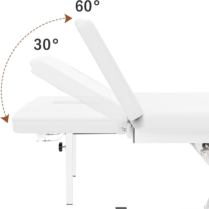 2 Motors Electric Spine Massage Table, Hydraulic Electric Lift Adjustable Waist and Height Lifting Functions for Treatment, Physical Therapy, Spinal Massage, Facial Spa, Waxing, Tattooing - White