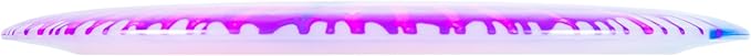 Innova I-Dye Champion Boss Max Distance Disc Golf Driver - Colors and Designs Will Vary