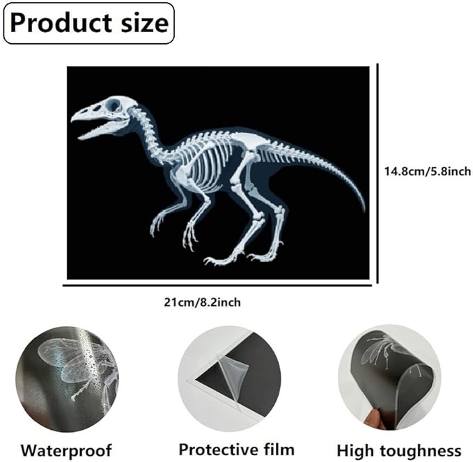 16 Animal X-Ray Set, Educational Science Kit for Kids to Explore Bone Structures for Lightstand Accessories, Light and Shadow Areas (Dinosaur Series)