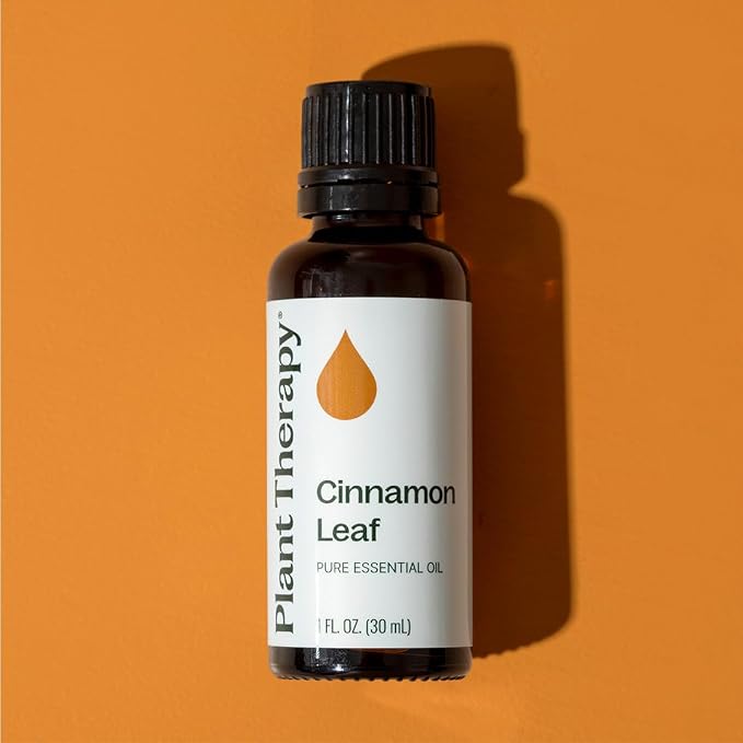 Plant Therapy Cinnamon Leaf Essential Oil 30 mL (1 oz) 100% Pure, Undiluted, Aromatherapy, Cozy Scent, Sore Muscle Relief