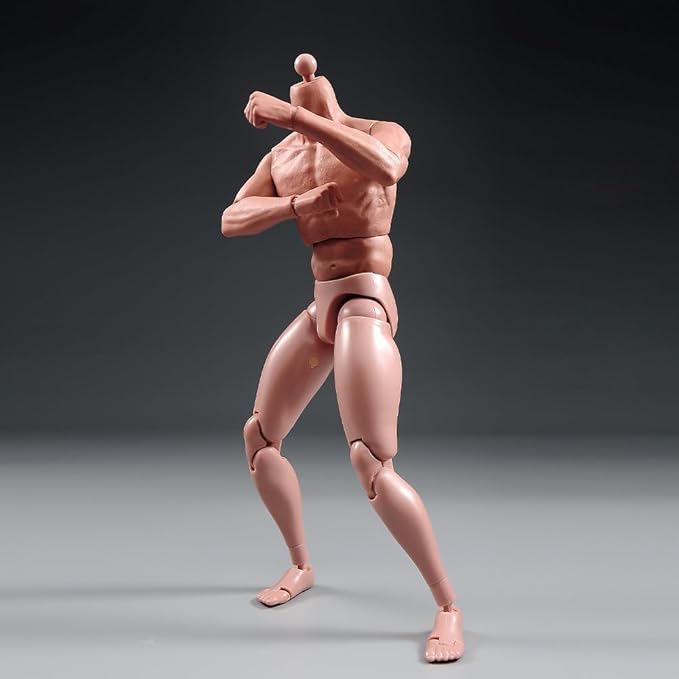 1/6 Scale Muscle Male Body 12in Flexible Muscle Male Action Figure Doll Miniature Figure Without Head Sculpt