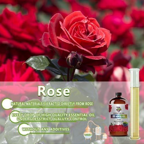 Rose Essential Oil, Rose Oils, for Diffuser, Massage, Bath, DIY Candles, Soap, Humidifier, Bedroom, Office, Gift, Essential Oil, GV77ZF Rose Fragrance Oil - 16 fl oz (480 ml)