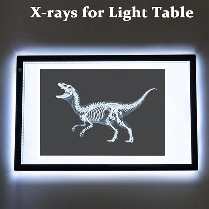 16 Animal X-Ray Set, Educational Science Kit for Kids to Explore Bone Structures for Lightstand Accessories, Light and Shadow Areas (Dinosaur Series)