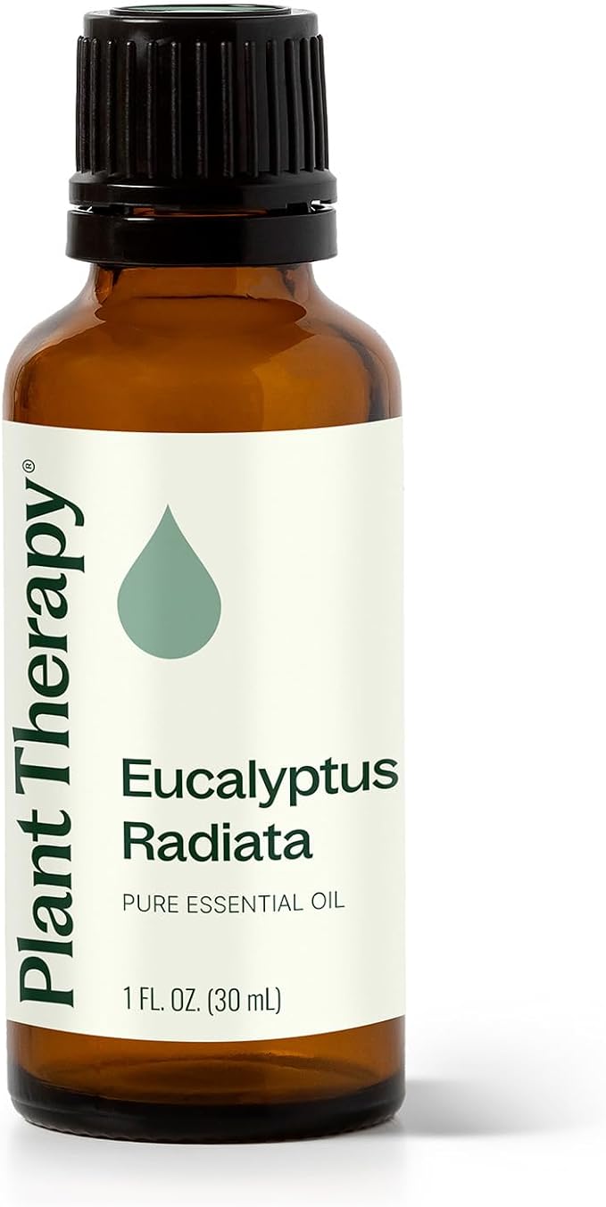Plant Therapy Eucalyptus Radiata Essential Oil 30 mL (1 oz), 100% Pure, Undiluted, for Aromatherapy, Respiratory Support & Focus