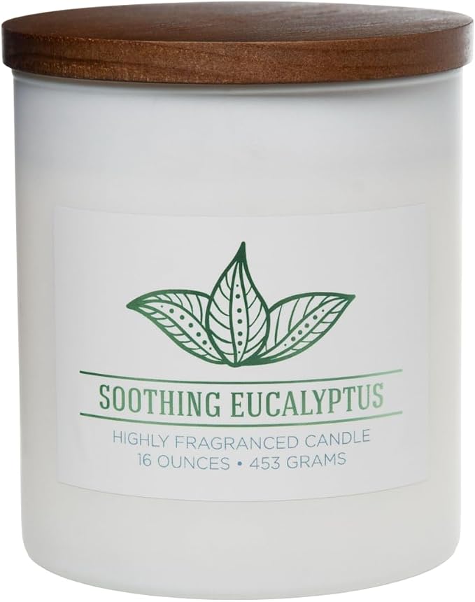 Carolina Soothing Eucalyptus Scented Candle, 16 oz Wellness Relaxing Aromatherapy Candle, 2 Wick White Jar Soy Blend Wax, Candles for Home, 60H Burn - Made in The USA