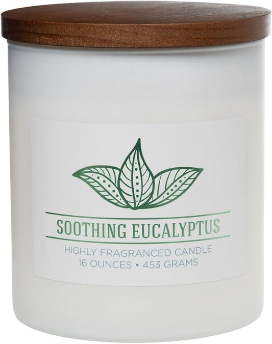 Carolina Soothing Eucalyptus Scented Candle, 16 oz Wellness Relaxing Aromatherapy Candle, 2 Wick White Jar Soy Blend Wax, Candles for Home, 60H Burn - Made in The USA