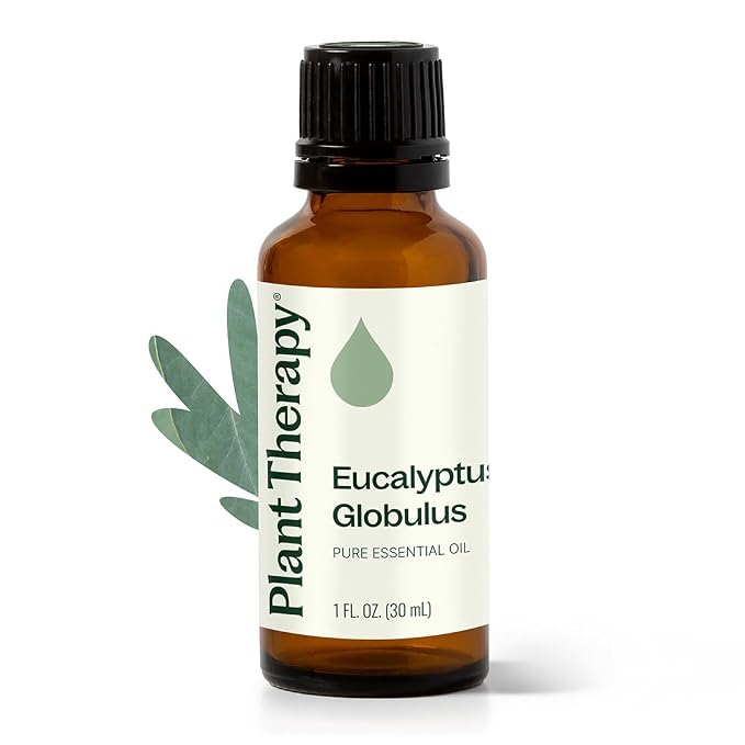 Plant Therapy Eucalyptus Globulus Essential Oil, 30 mL (1 oz), for Diffuser, Skin, Hair, Aromatherapy DIYs, and Clear Breathing, 100% Pure and Undiluted Essential Oil