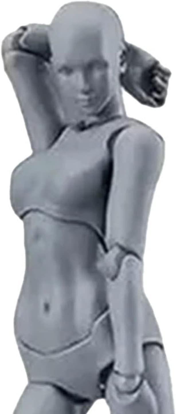 PVC Drawing Figure Action Mannequin, PVC Drawing Figure Model Drawing Figure Mannequin, Action Figure Body, for Sketching, Painting, Drawing, Female Artist (Male) (Women #14)