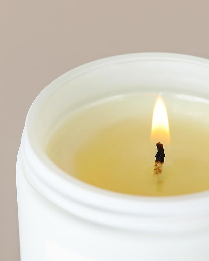 AOOVOO Candle - 9oz Soy Wax Scented Candles, I Wish You Lived Next Door Candles Gifts, Christams Birthday Gifts for Women Men, Mom, Coworkers, Nurse, Clients - Employee, Teacher