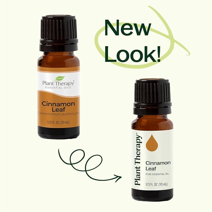 Plant Therapy Cinnamon Leaf Essential Oil 30 mL (1 oz) 100% Pure, Undiluted, Aromatherapy, Cozy Scent, Sore Muscle Relief