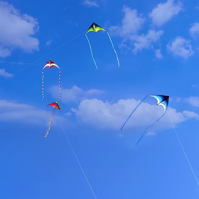 Mint's Colorful Life Delta Kite for Kids & Adults, Extremely Easy to Fly Kite for Beach Trip, Best Kites for Beginners, 300ft String Handle Included