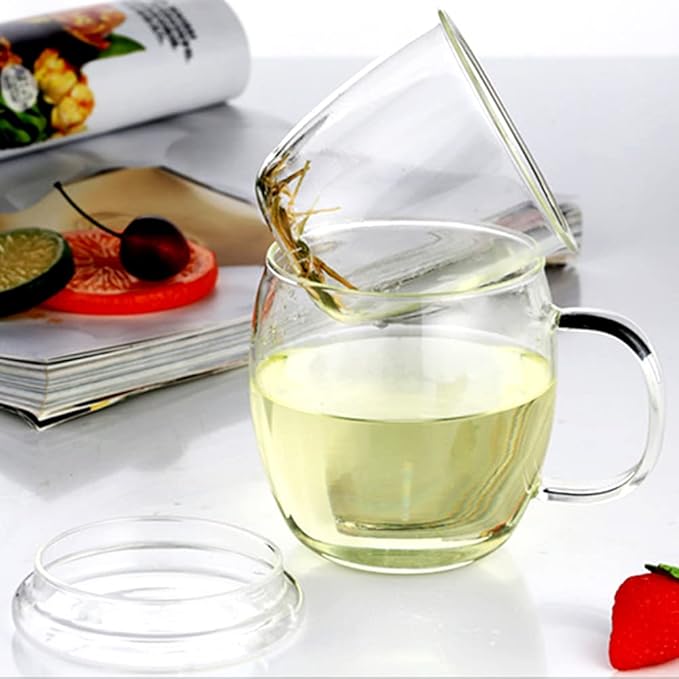 Glass Tea Cup with Infuser and Lid,500ml (17oz) Borosilicate Glass Tea Mugs for Loose Leaf Tea,Glass Tea Cups with Filter for Black Tea,Great Loose Tea-leaf Brewing System