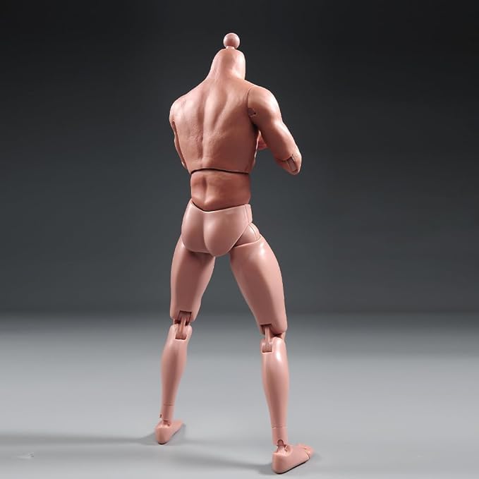 1/6 Scale Muscle Male Body 12in Flexible Muscle Male Action Figure Doll Miniature Figure Without Head Sculpt