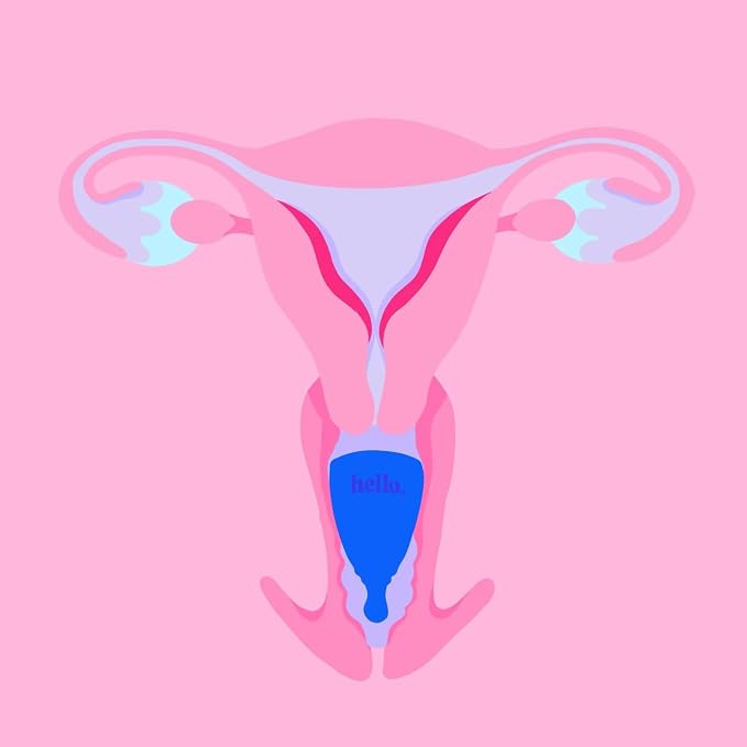Cup High Cervix Menstrual Cup | Award Winning Reusable Soft Flexible Alternative to Pads & Tampons | Sustainable Feminine Hygiene | Leak Proof | Holds 25ml 41mm Diameter, 71mm L (Medium)