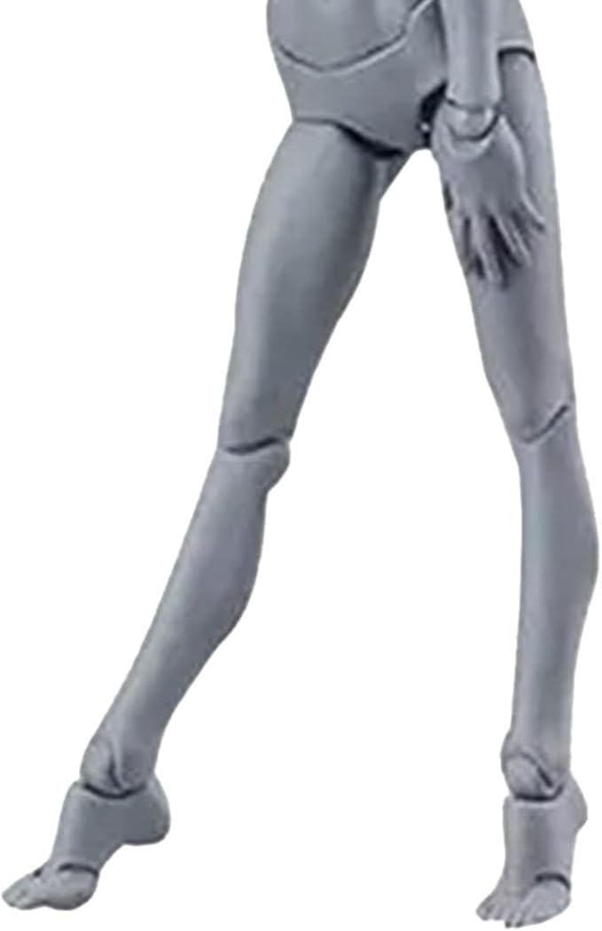 PVC Drawing Figure Action Mannequin, PVC Drawing Figure Model Drawing Figure Mannequin, Action Figure Body, for Sketching, Painting, Drawing, Female Artist (Male) (Women #14)